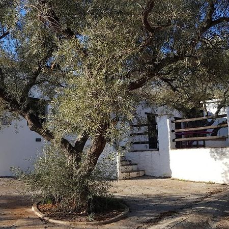 Hôtel Gateway To The Alpujarras, 'Cortijo Derry' à Orgiva Extérieur photo