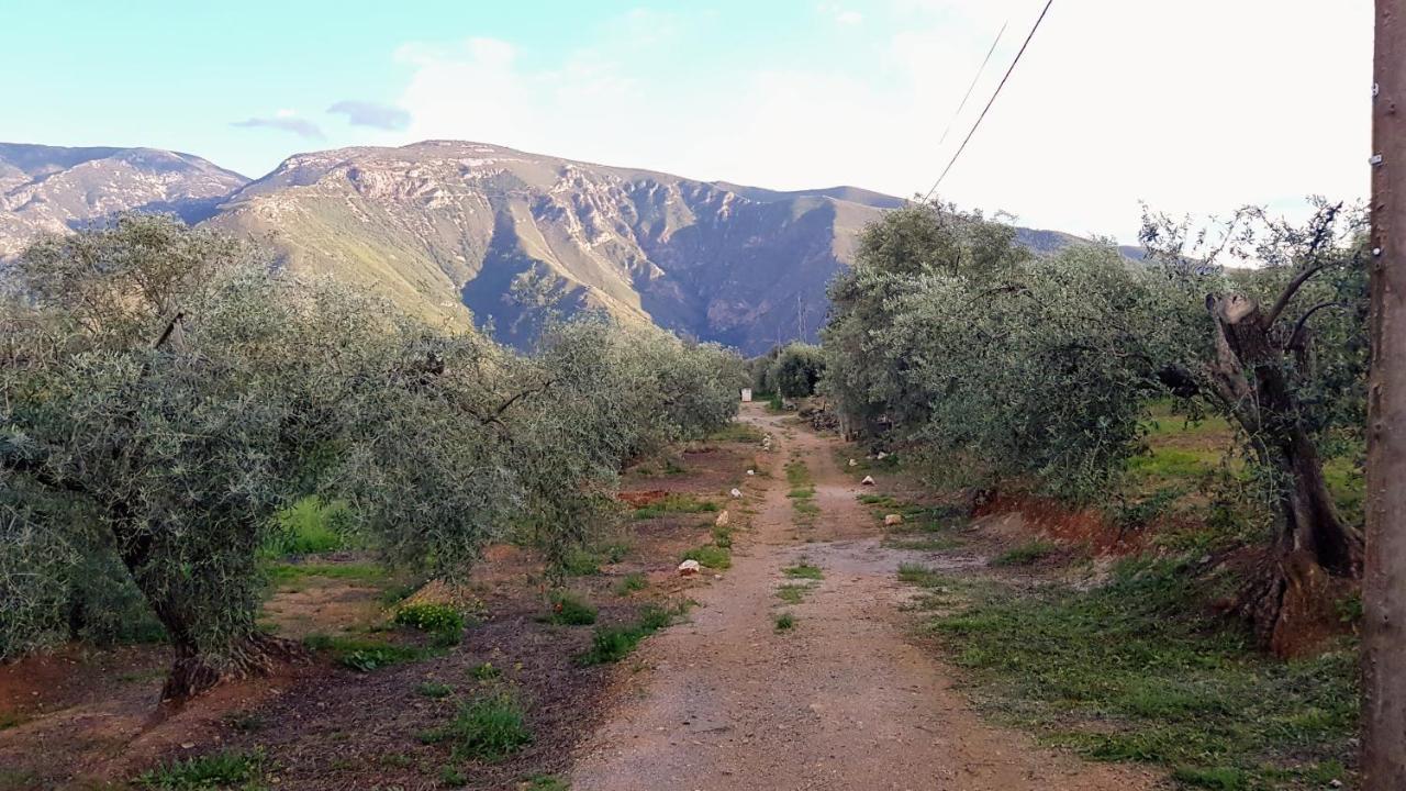 Hôtel Gateway To The Alpujarras, 'Cortijo Derry' à Orgiva Extérieur photo